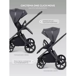 Коляска 2 в 1 Rant Falcon Therm Soft Graphite