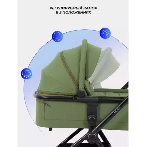 Коляска 2 в 1 Rant Moss 2025 Green