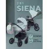 Коляска 2 в 1 Rant Siena 2024 10 серый-ментоловый