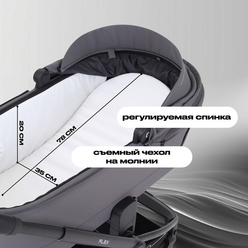 Детская коляска Rant Flex 2 в 1 RA076 Graphite