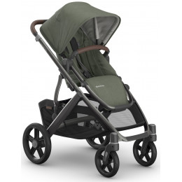 Коляска UPPAbaby Vista V3 2 в 1 Evelyn