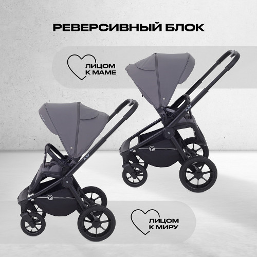 Детская коляска Rant Flex 2 в 1 RA076 Graphite