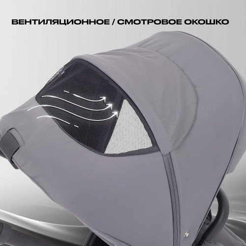 Детская коляска Rant Flex 2 в 1 RA076 Graphite