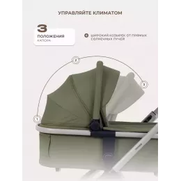 Коляска 2 в 1 Rant Moss Prime Green