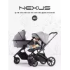 Коляска 2 в 1 Rant Basic Nexus Cloudburst
