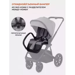 Коляска 2 в 1 Rant Basic Nexus Cloudburst