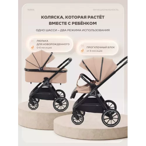 Коляска 2 в 1 Rant Basic Terra Beige
