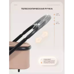 Коляска 2 в 1 Rant Basic Terra Beige
