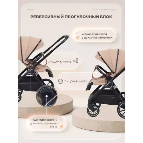 Коляска 2 в 1 Rant Basic Terra Beige