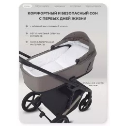Коляска 2 в 1 Rant Garda Mocca