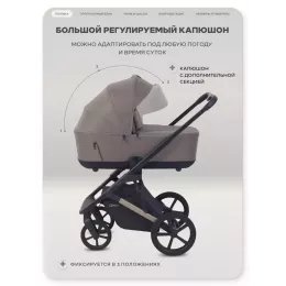 Коляска 2 в 1 Rant Garda Mocca