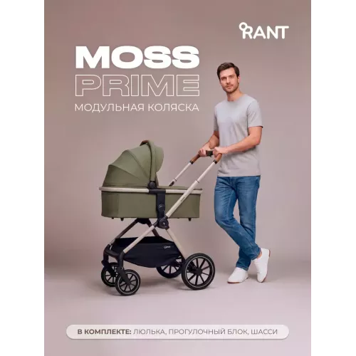 Коляска 2 в 1 Rant Moss Prime Green