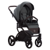 Коляска LUCA 2в1 (Bebetto) (39 (шалфей))