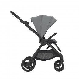 Купить коляску 2в1+багги Anex IQ Basic, в цвете Loft