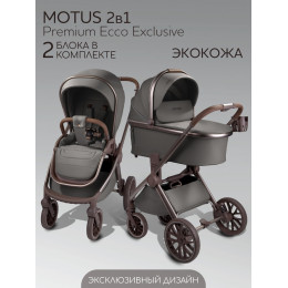 Детская коляска AmaroBaby Motus Premium Ecco Exclusive 2 в 1 серый