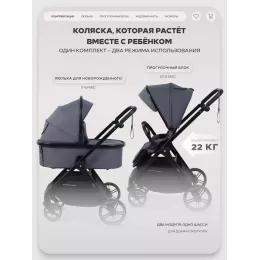 Коляска 2 в 1 Rant Basic Wave Graphite