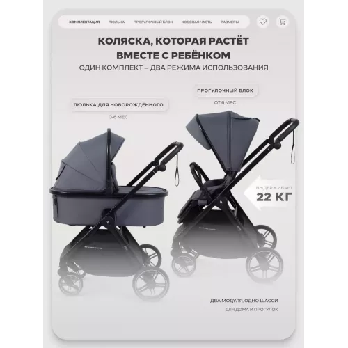 Коляска 2 в 1 Rant Basic Wave Graphite