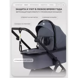 Коляска 2 в 1 Rant Basic Wave Graphite