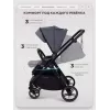 Коляска 2 в 1 Rant Basic Wave Graphite