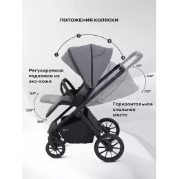 Коляска 2 в 1 Rant Falcon Neo Grey