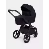 Коляска 2 в 1 Rant Flex Soft Therm Gold black
