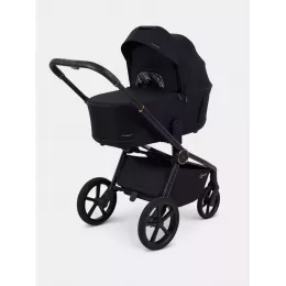 Коляска 2 в 1 Rant Flex Soft Therm Gold black