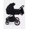 Коляска 2 в 1 Rant Flex Soft Therm Gold black