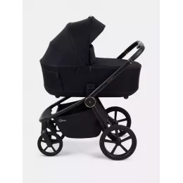 Коляска 2 в 1 Rant Flex Soft Therm Gold black