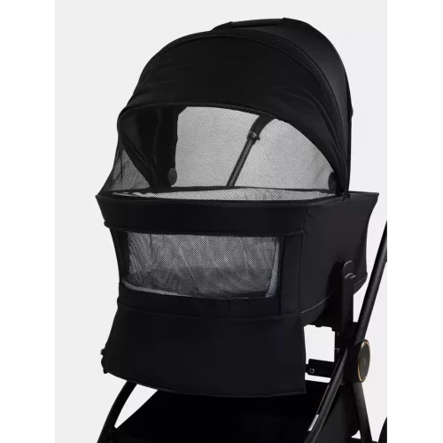 Коляска 2 в 1 Rant Flex Soft Therm Gold black