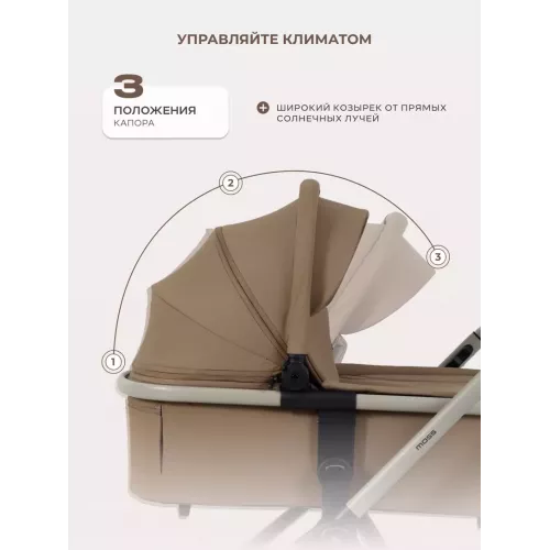 Коляска 2 в 1 Rant Moss Prime Beige