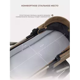 Коляска 2 в 1 Rant Moss Prime Beige