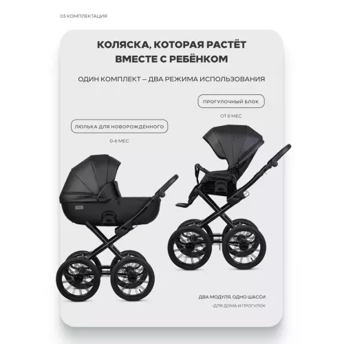 Коляска 2 в 1 Riko Basic Montana X Ecco Prestige 12 Black