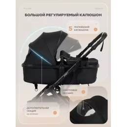 Коляска-трансформер 2 в 1 Rant Basic Pulsar Plus Black