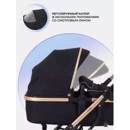 Коляска-трансформер Rant Basic Pulsar Gold Black