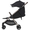 Детская коляска Anex iQ Premium NT 2 в 1 iQ-06-NT smoky