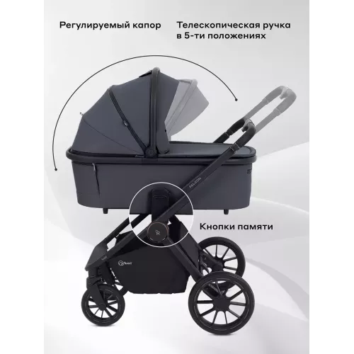 Коляска 2 в 1 Rant Falcon Neo Graphite