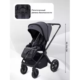 Коляска 2 в 1 Rant Falcon Neo Graphite