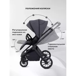 Коляска 2 в 1 Rant Falcon Neo Graphite