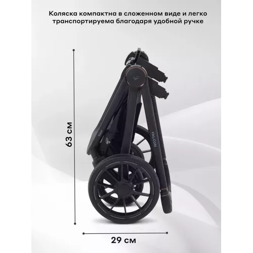 Коляска 2 в 1 Rant Falcon Neo Graphite
