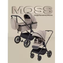 Коляска 2 в 1 Rant Moss 2025 Coffee
