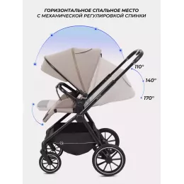 Коляска 2 в 1 Rant Moss 2025 Coffee