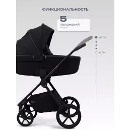 Коляска 2 в 1 Rant Teo Soft Black