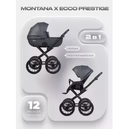 Коляска 2 в 1 Riko Basic Montana X Ecco Prestige 24 Graphite