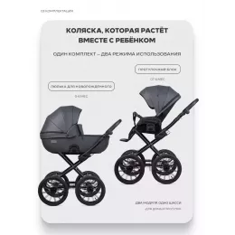 Коляска 2 в 1 Riko Basic Montana X Ecco Prestige 24 Graphite