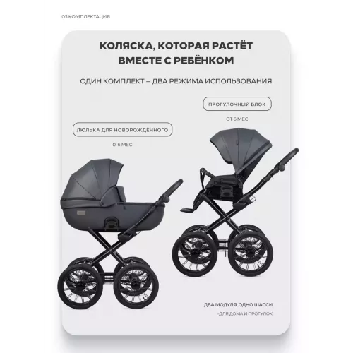 Коляска 2 в 1 Riko Basic Montana X Ecco Prestige 24 Graphite