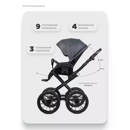 Коляска 2 в 1 Riko Basic Montana X Ecco Prestige 24 Graphite