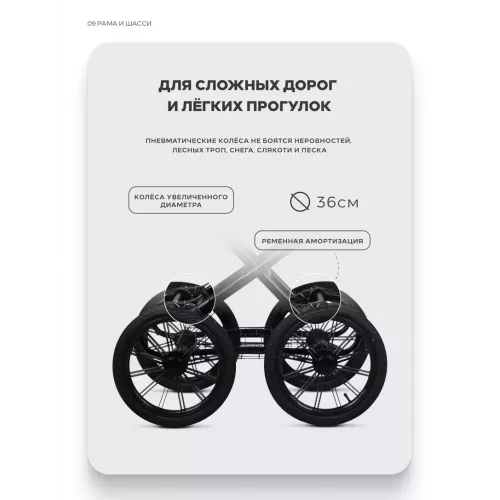 Коляска 2 в 1 Riko Basic Montana X Ecco Prestige 24 Graphite