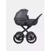 Коляска 2 в 1 Riko Basic Montana X Ecco Prestige 24 Graphite