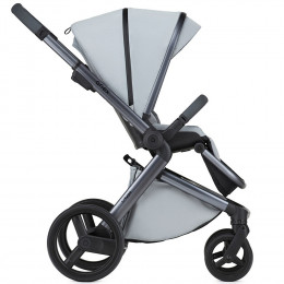 Детская коляска Anex l/type 2 в 1 с аксессуарами frost