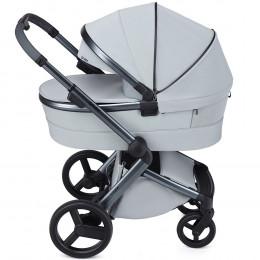 Детская коляска Anex l/type 2 в 1 с аксессуарами frost